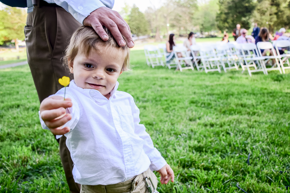 Toddler holds flower at his parents' wedding.