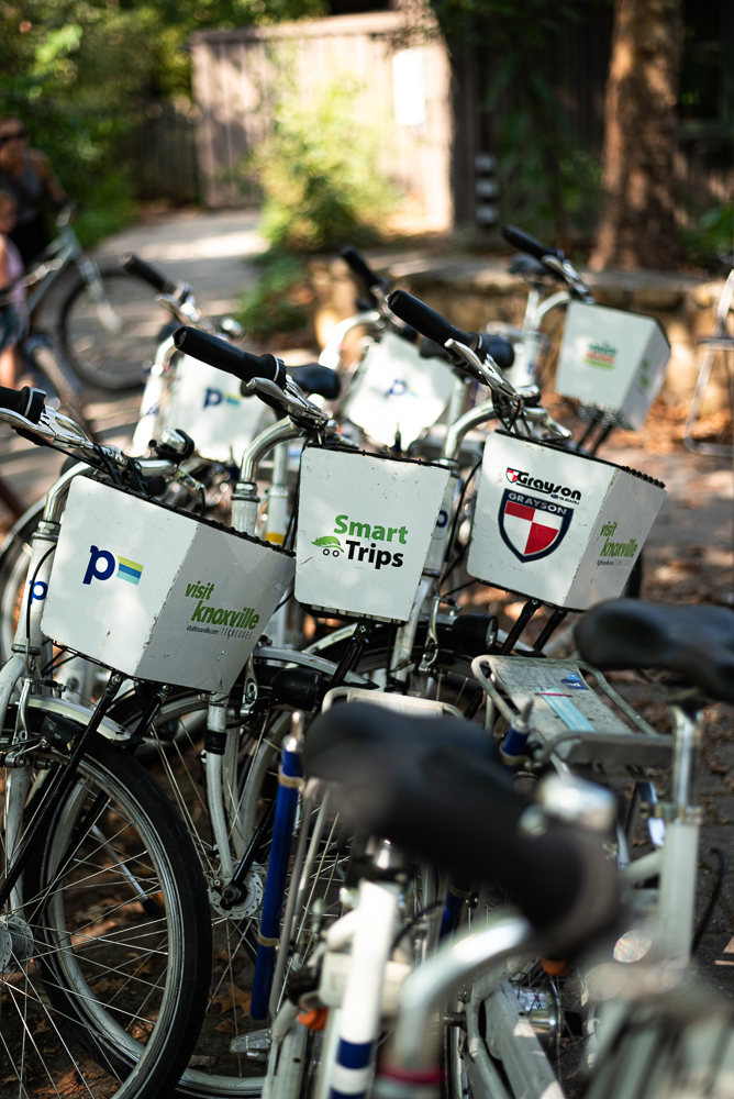 A group of Pace rental bikes waits for riders at Ijams Nature Center.