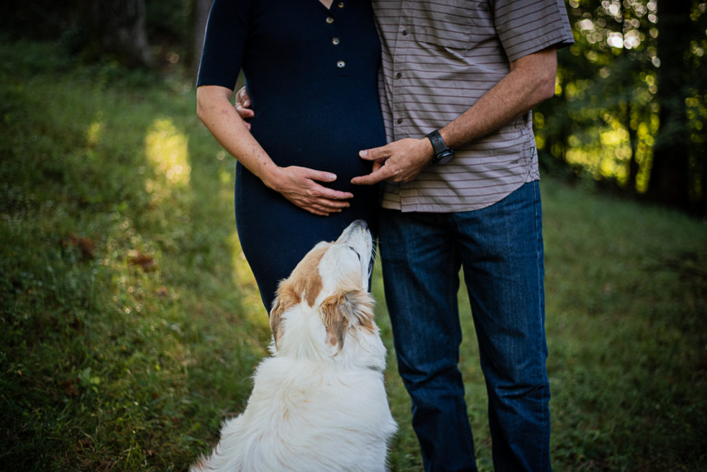 A big, white dog looks up at a pregnant couple standing in the woods.