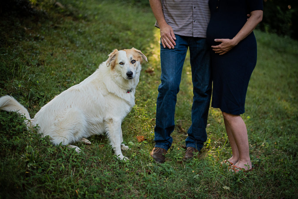 A big, white dog sits beside a pregnant couple in their front yard.