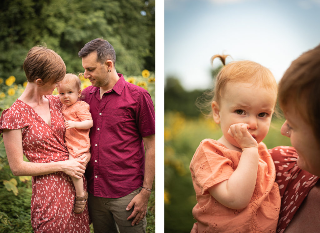 A collage of young family with their toddler in a sunflower field.