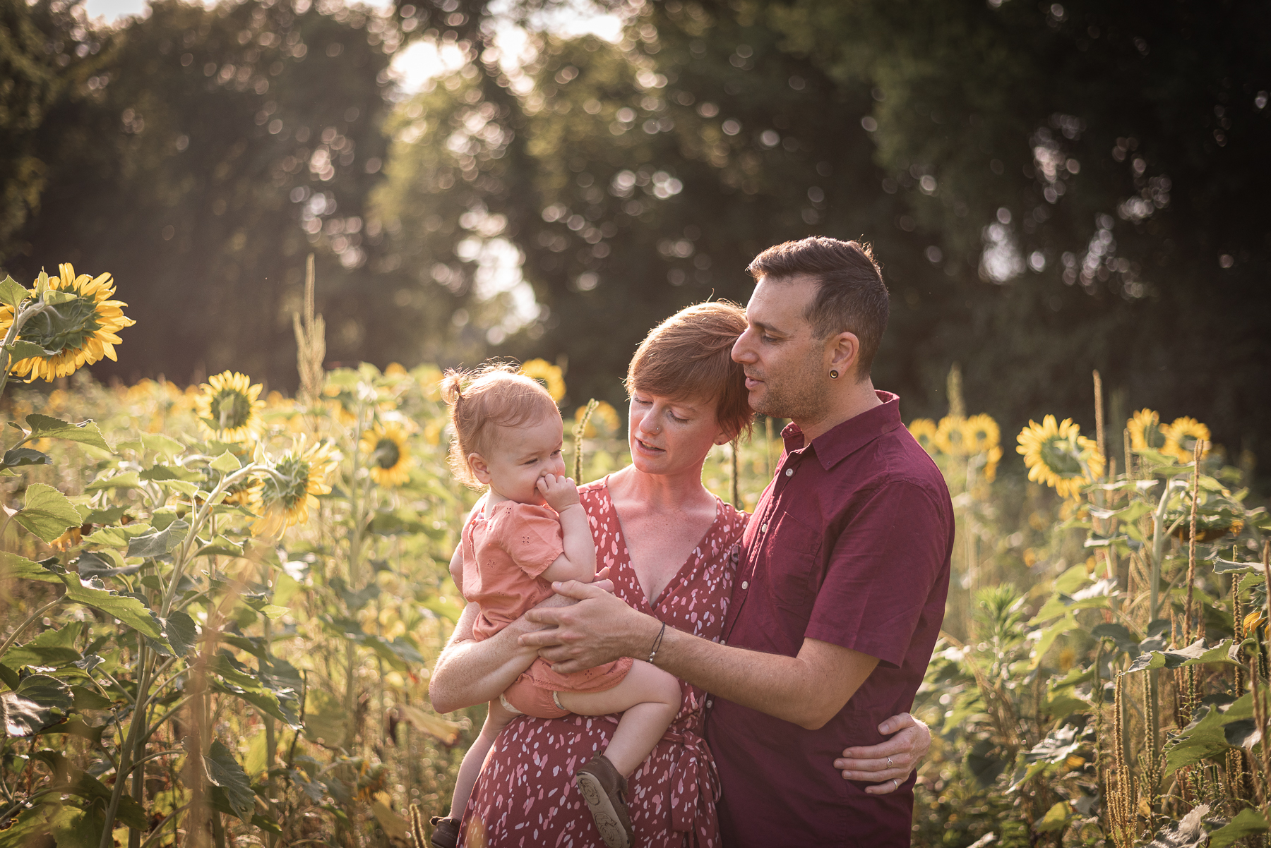 A young family stands in a sunflower field in the early morning..